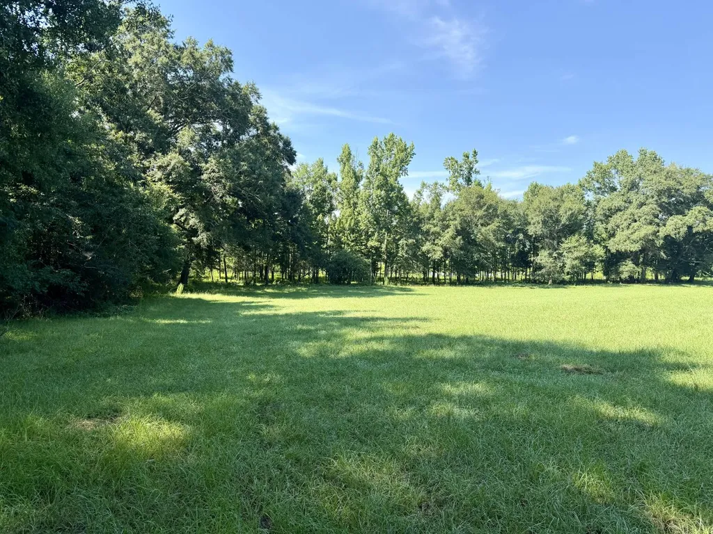0 Ballard Road Rutledge AL 36071