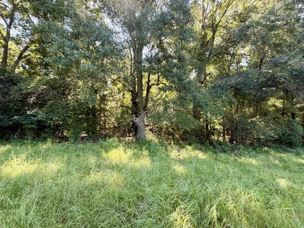 0 Ballard Road Rutledge AL 36071