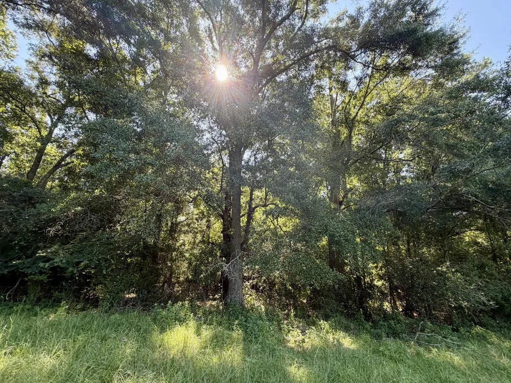 0 Ballard Road Rutledge AL 36071