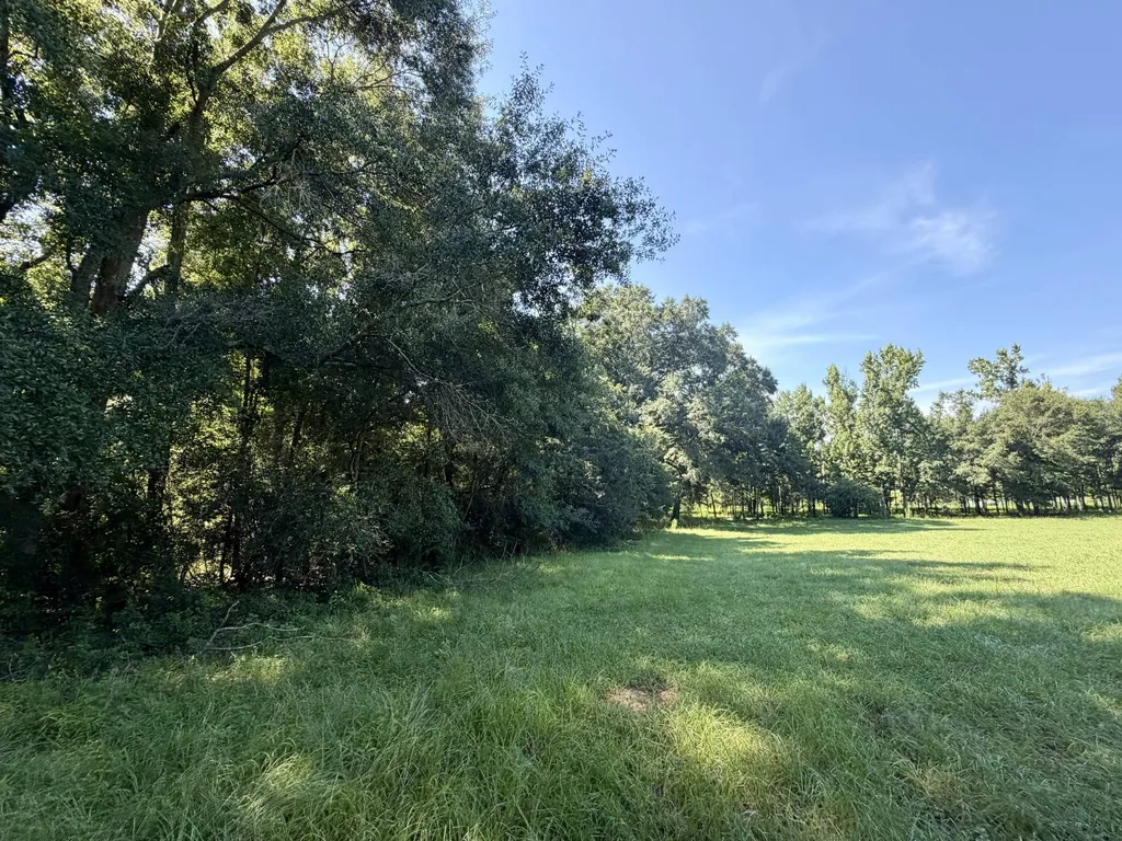 0 Ballard Road Rutledge AL 36071