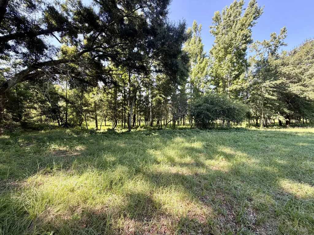 0 Ballard Road Rutledge AL 36071