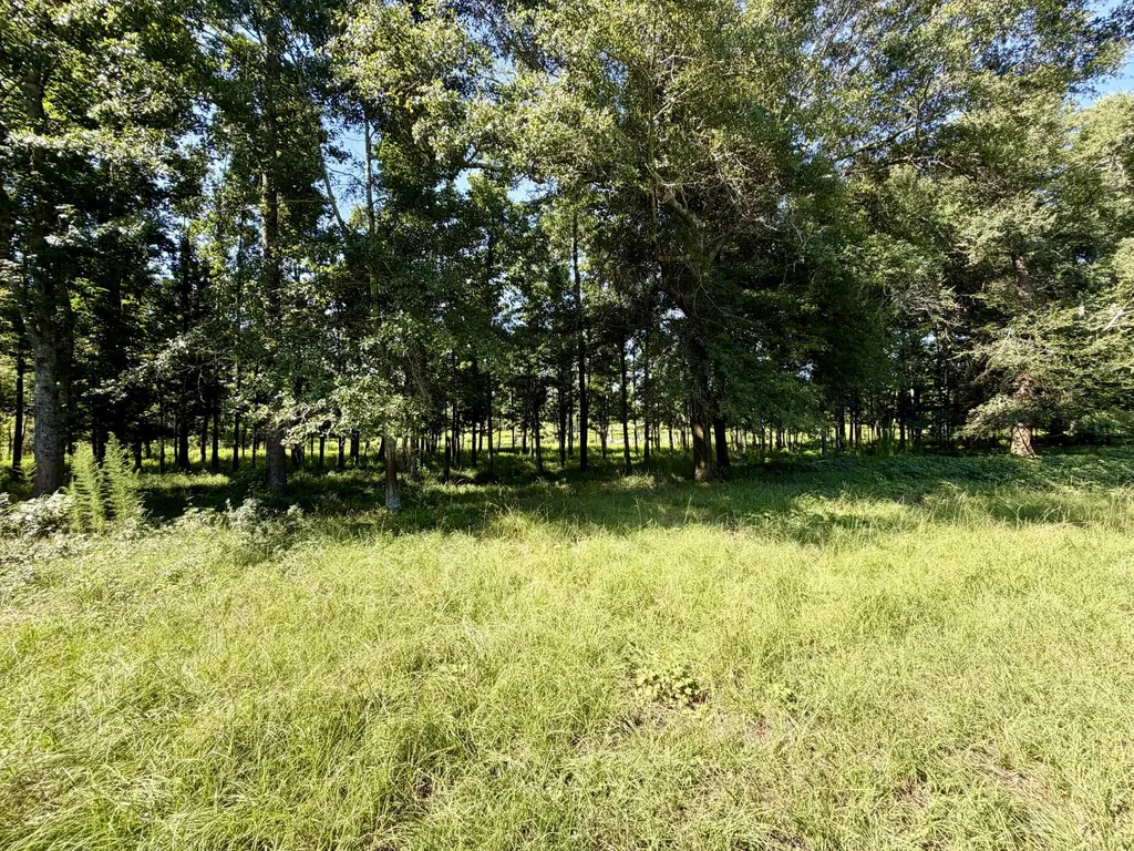 0 Ballard Road Rutledge AL 36071
