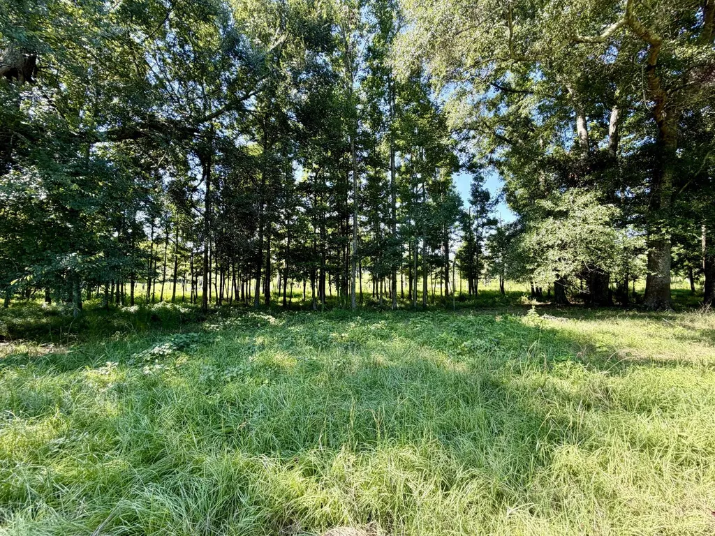 0 Ballard Road Rutledge AL 36071