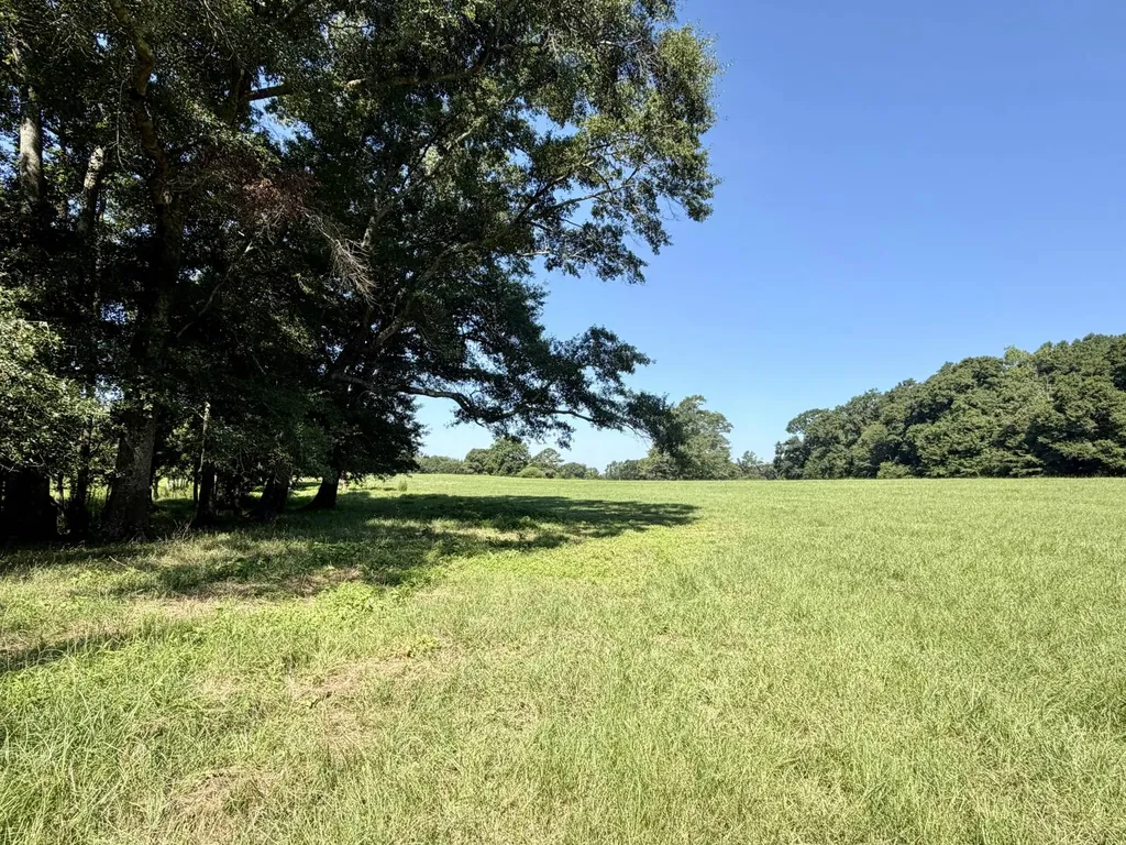 0 Ballard Road Rutledge AL 36071