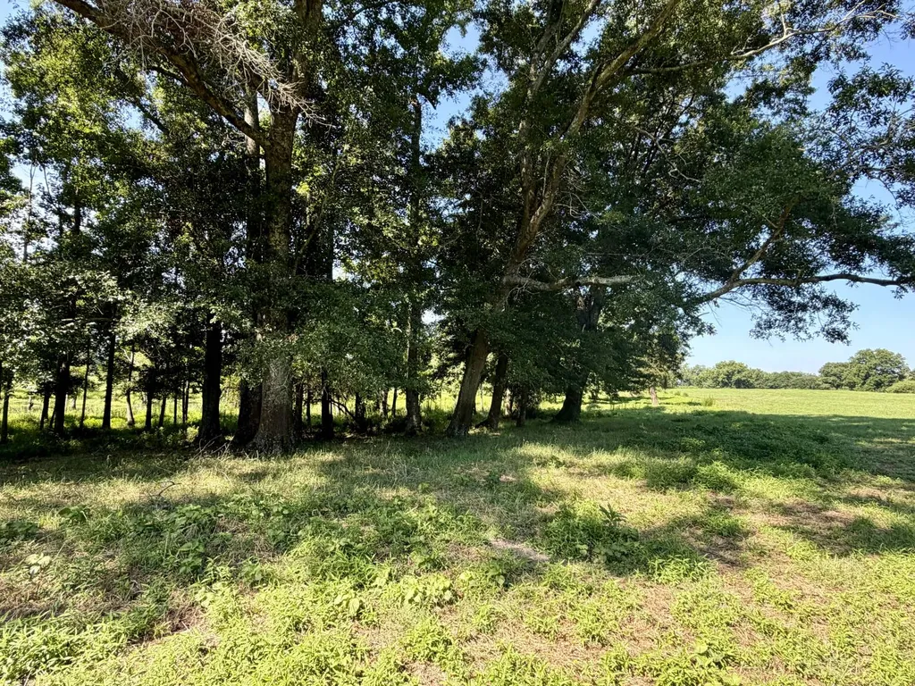 0 Ballard Road Rutledge AL 36071