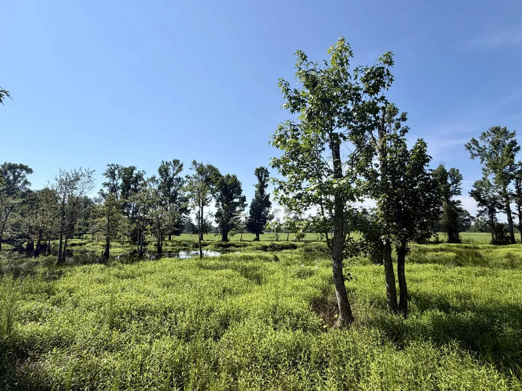 0 Ballard Road Rutledge AL 36071
