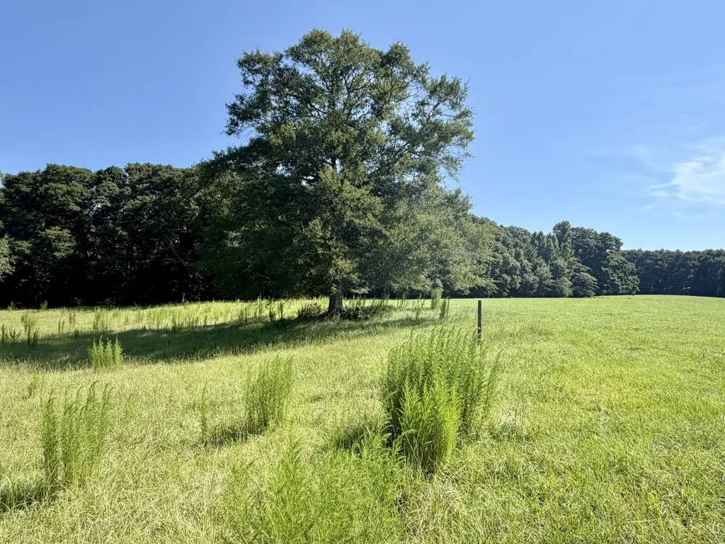 0 Ballard Road Rutledge AL 36071