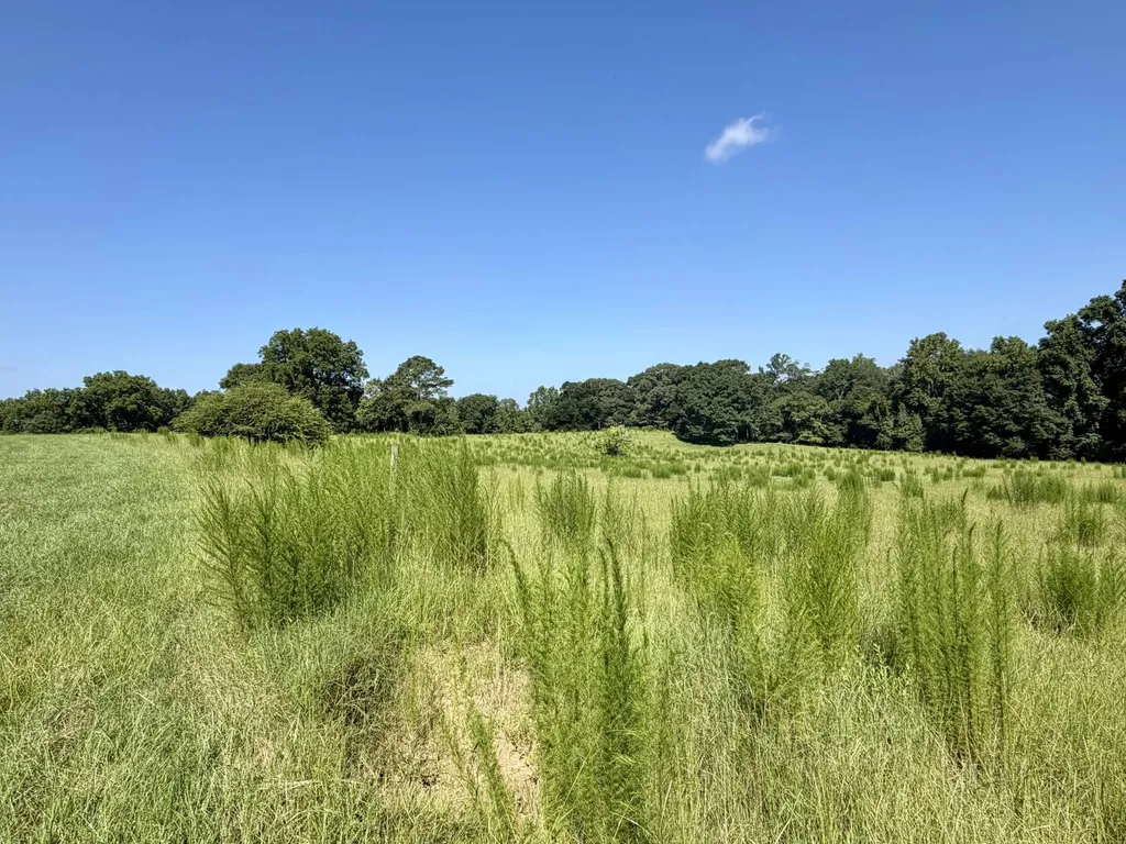 0 Ballard Road Rutledge AL 36071