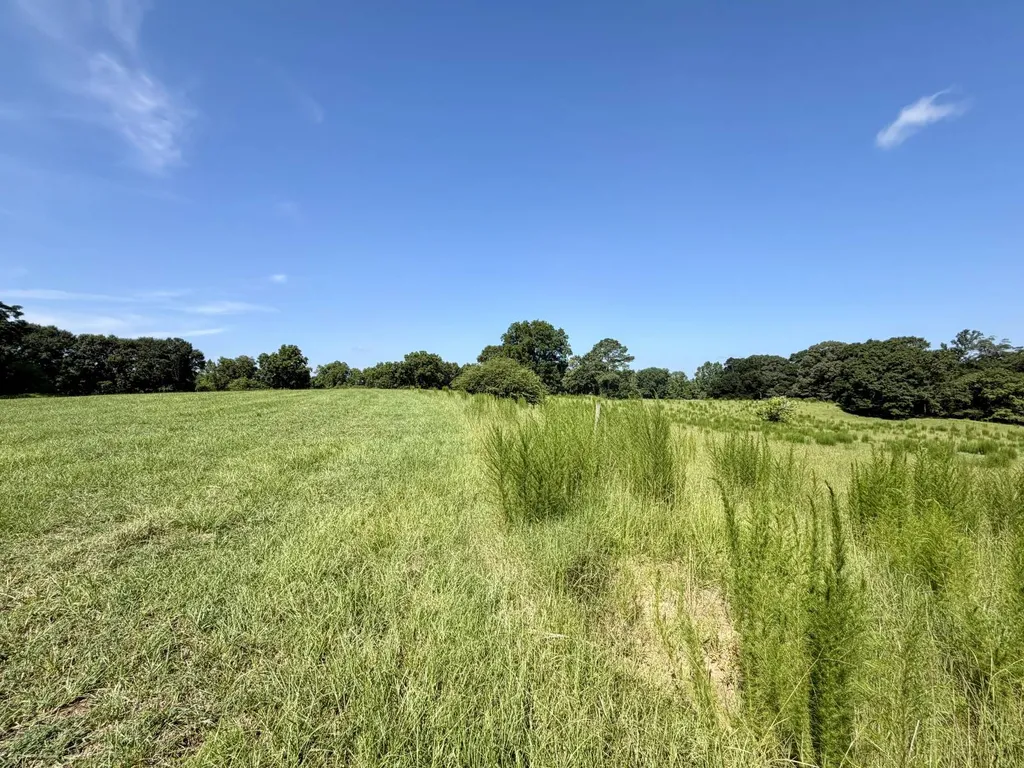 0 Ballard Road Rutledge AL 36071
