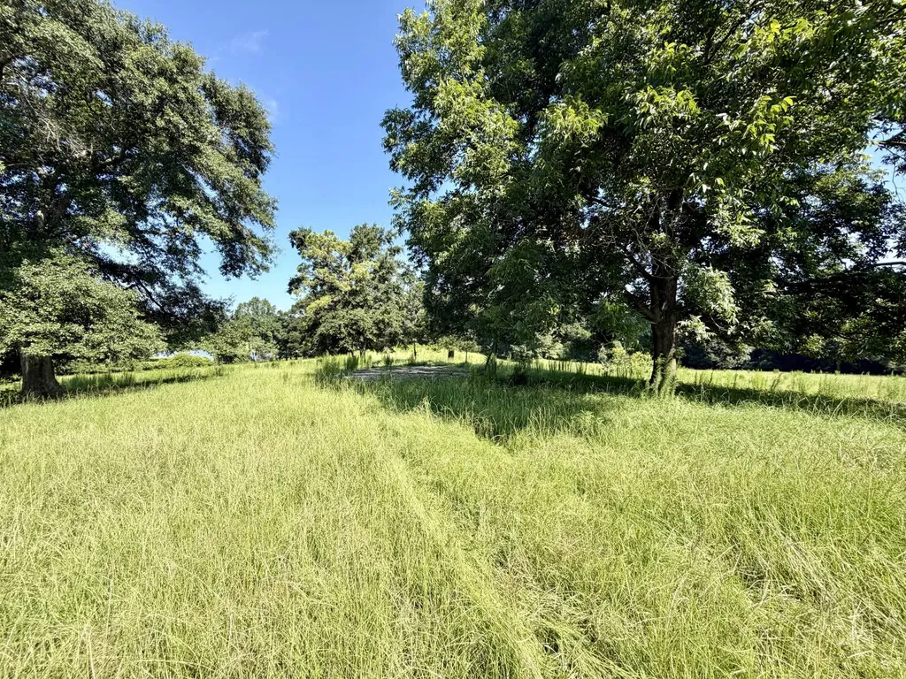 0 Ballard Road Rutledge AL 36071