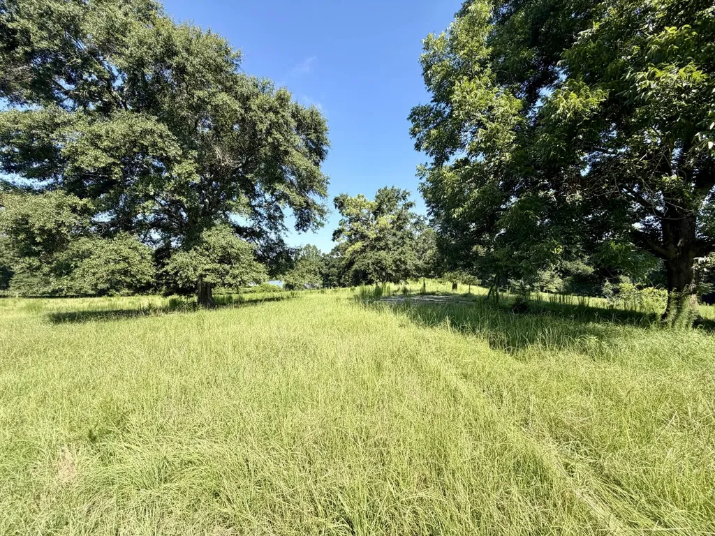 0 Ballard Road Rutledge AL 36071