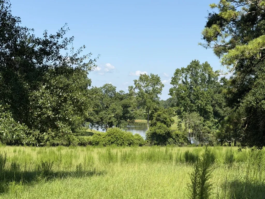 0 Ballard Road Rutledge AL 36071