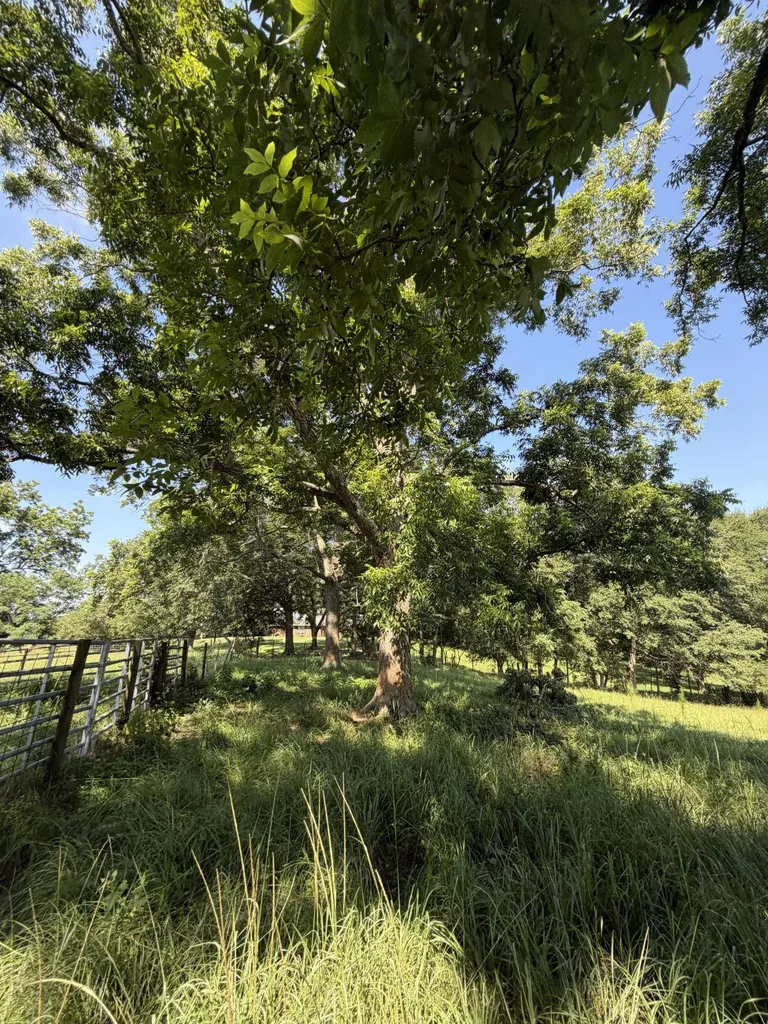 0 Ballard Road Rutledge AL 36071