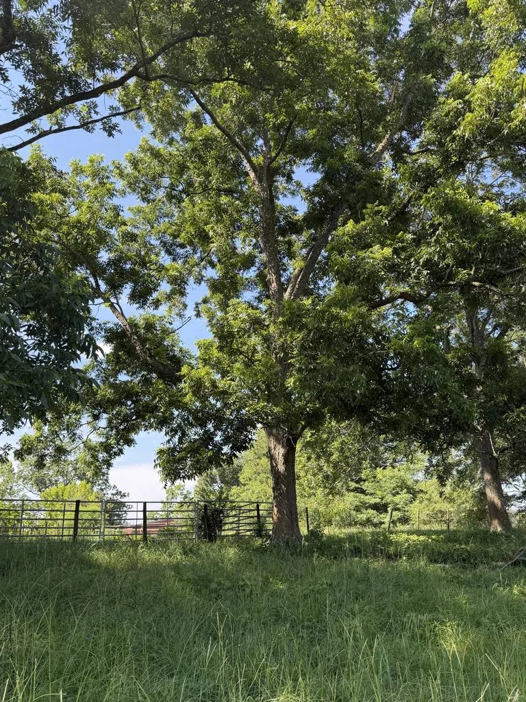 0 Ballard Road Rutledge AL 36071