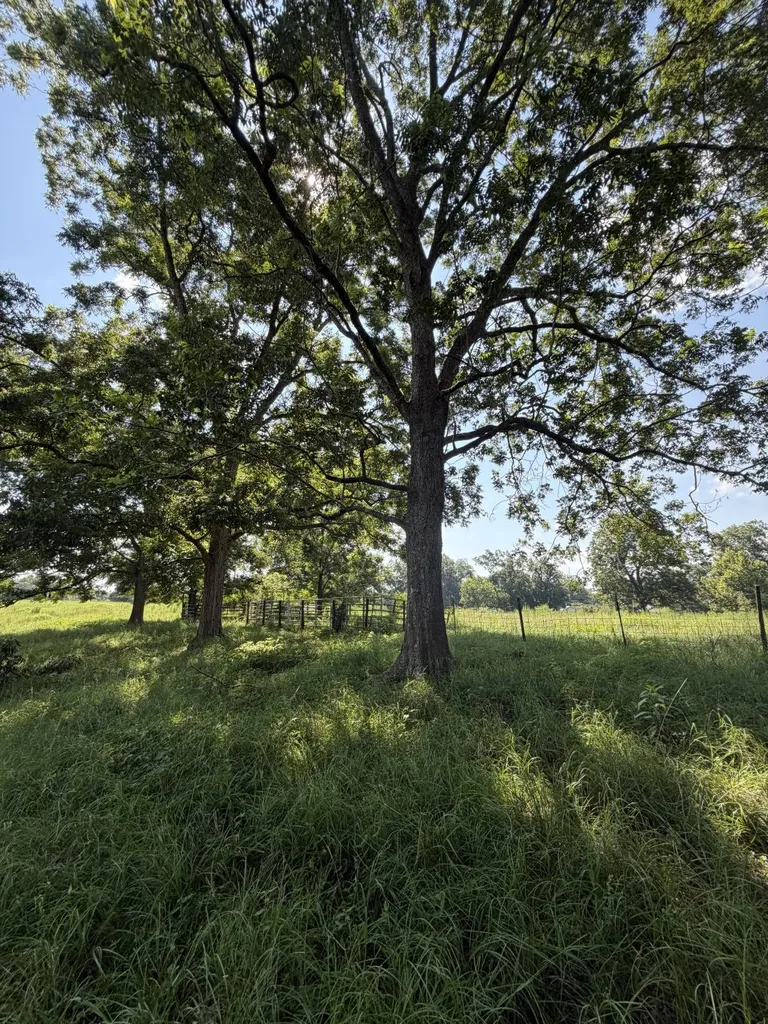0 Ballard Road Rutledge AL 36071
