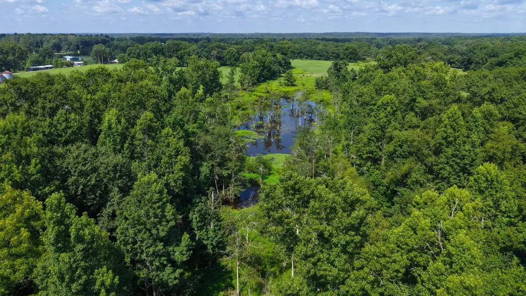 0 Ballard Road Rutledge AL 36071