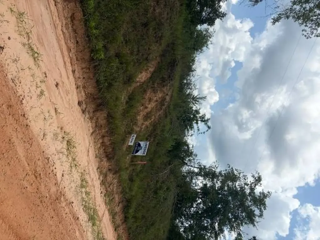 0 Pond Creek Road Luverne AL 36049