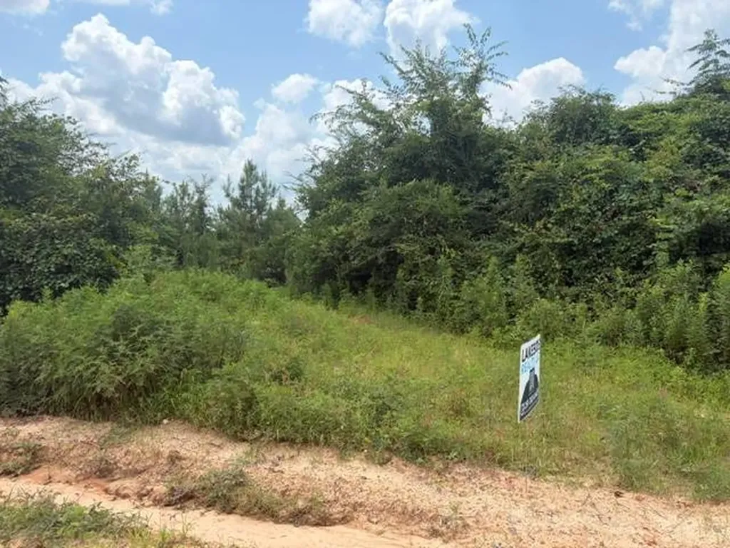 0 Pond Creek Road Luverne AL 36049
