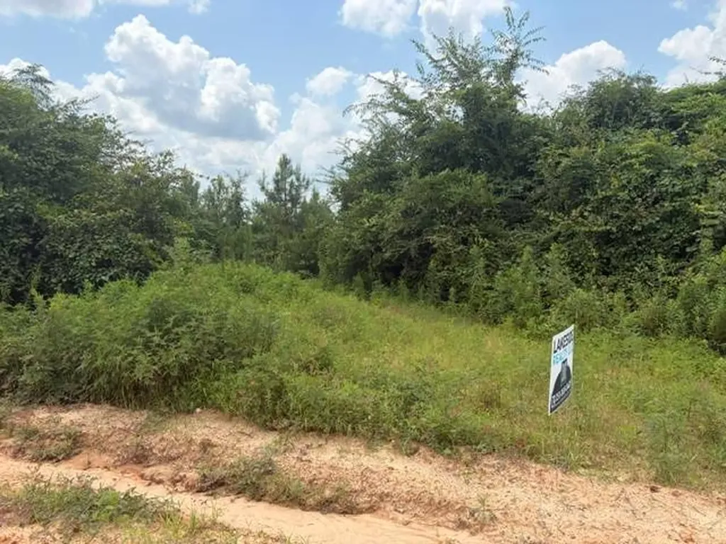 0 Pond Creek Road Luverne AL 36049