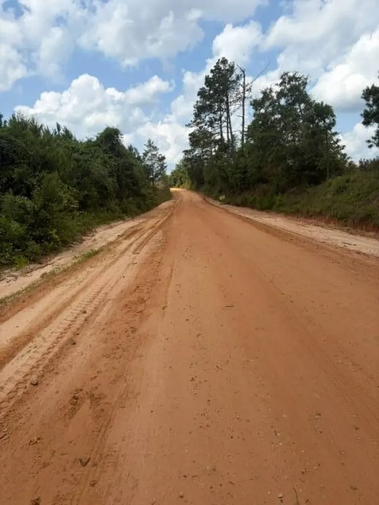 0 Pond Creek Road Luverne AL 36049