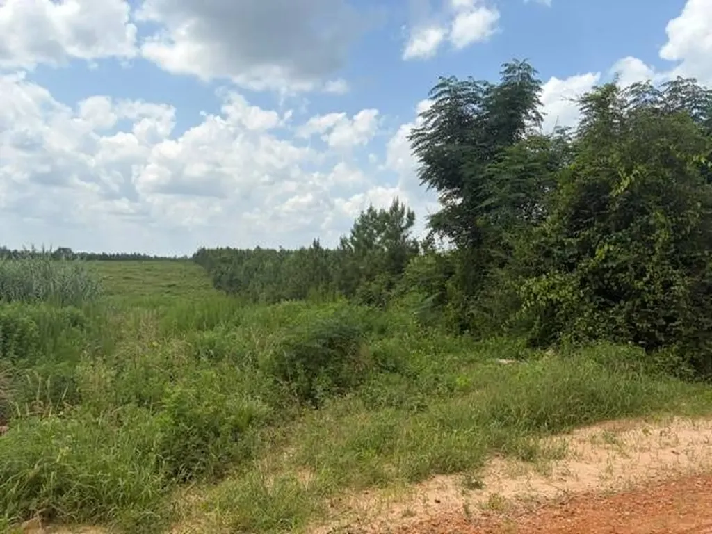 0 Pond Creek Road Luverne AL 36049