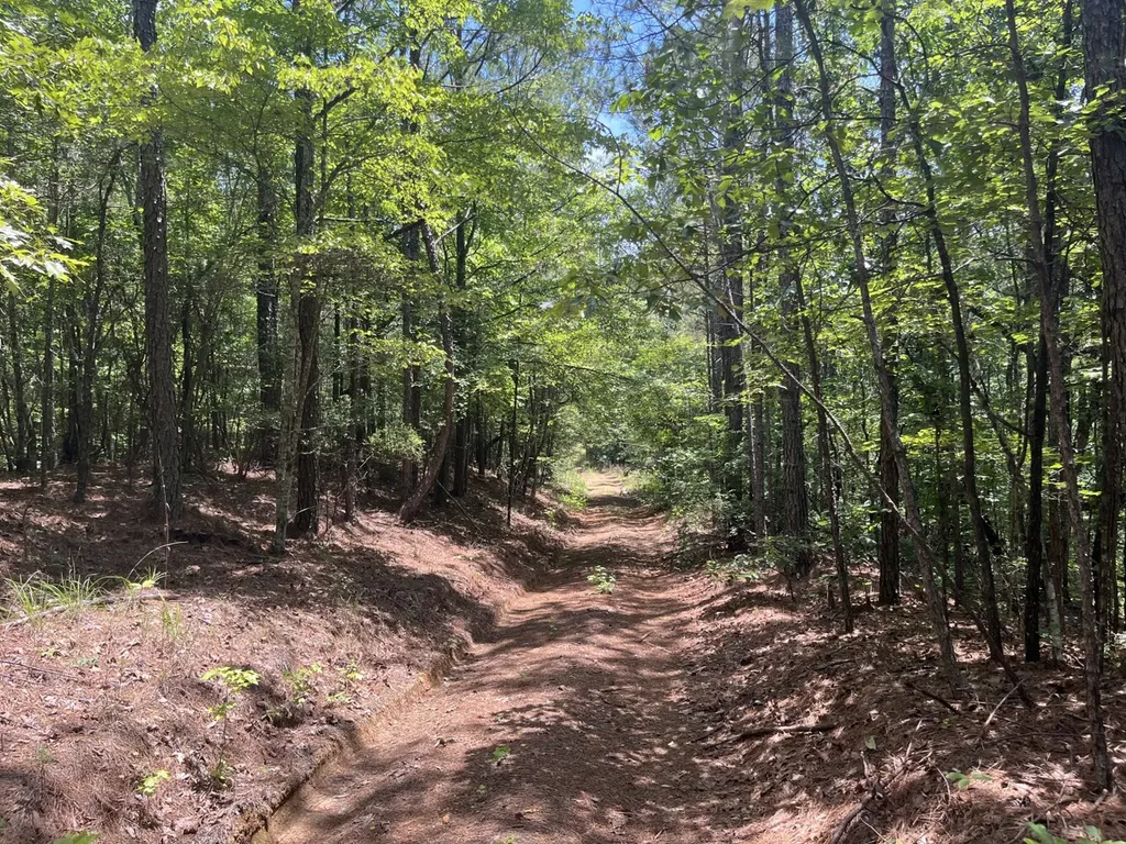 0 Bobo Loop Road Bobo AL 35594