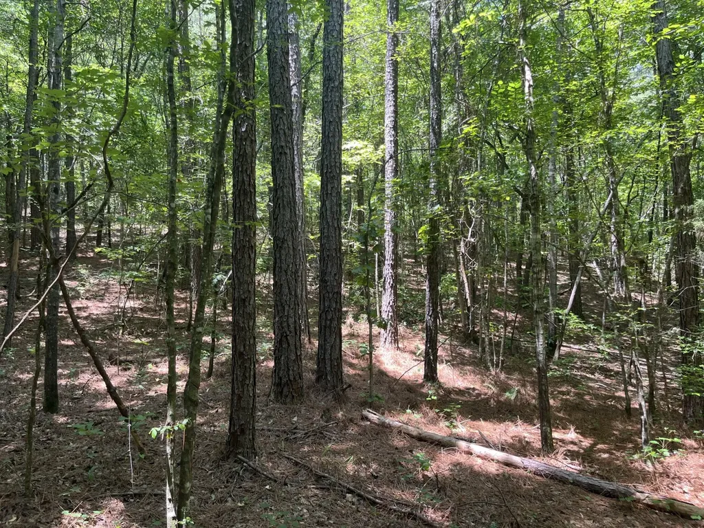 0 Bobo Loop Road Bobo AL 35594