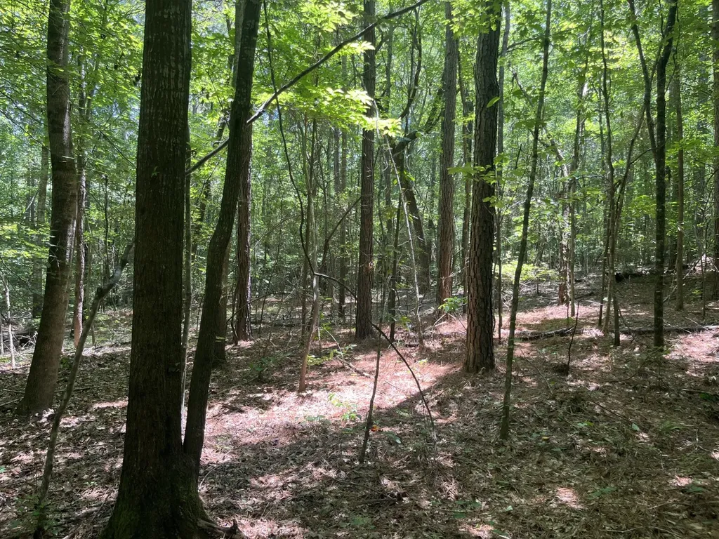 0 Bobo Loop Road Bobo AL 35594