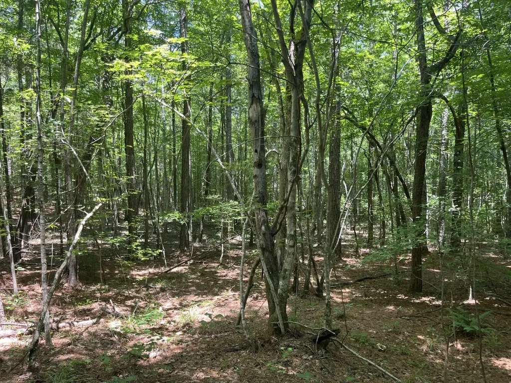 0 Bobo Loop Road Bobo AL 35594