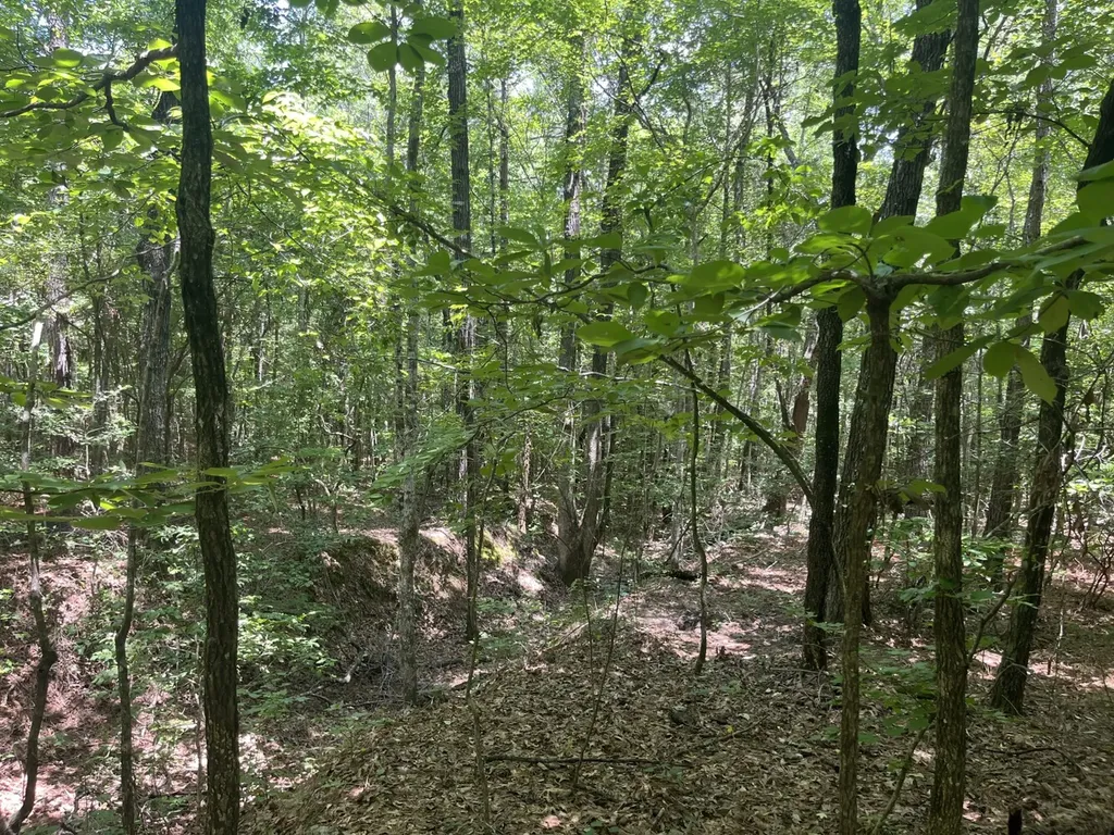 0 Bobo Loop Road Bobo AL 35594