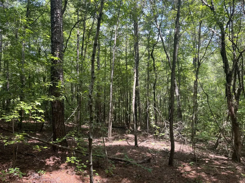 0 Bobo Loop Road Bobo AL 35594