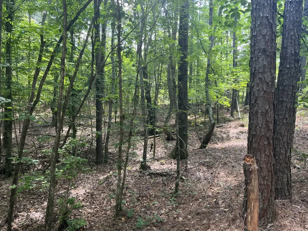 0 Bobo Loop Road Bobo AL 35594