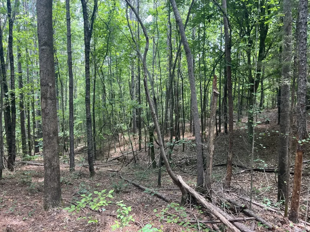 0 Bobo Loop Road Bobo AL 35594