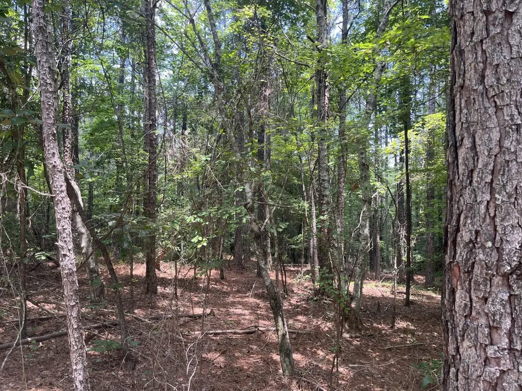 0 Bobo Loop Road Bobo AL 35594