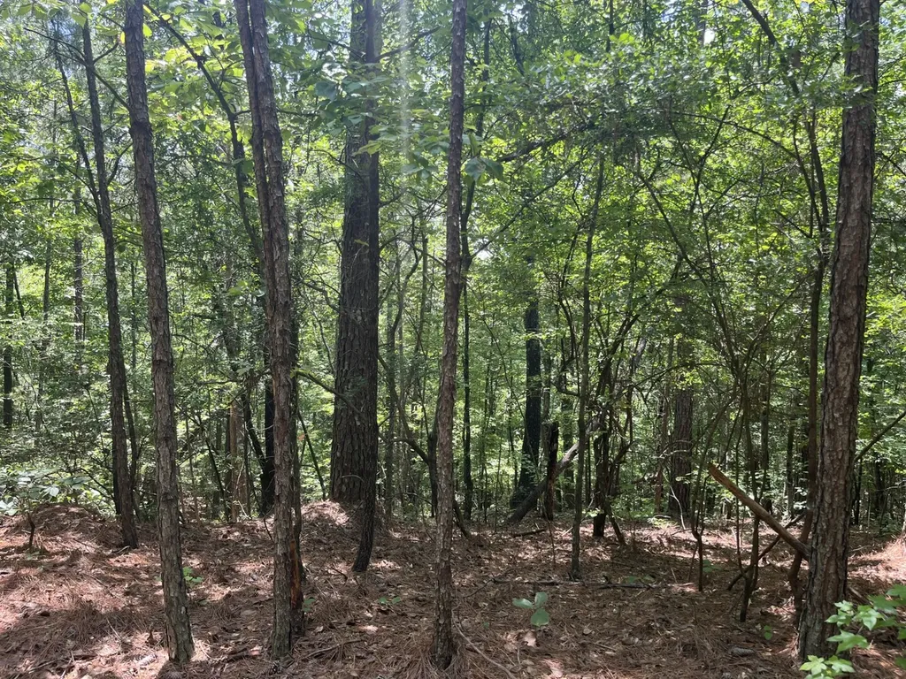 0 Bobo Loop Road Bobo AL 35594