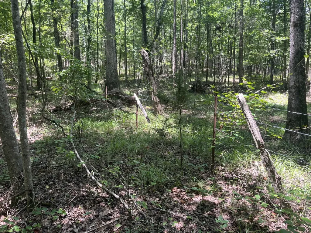 0 Bobo Loop Road Bobo AL 35594