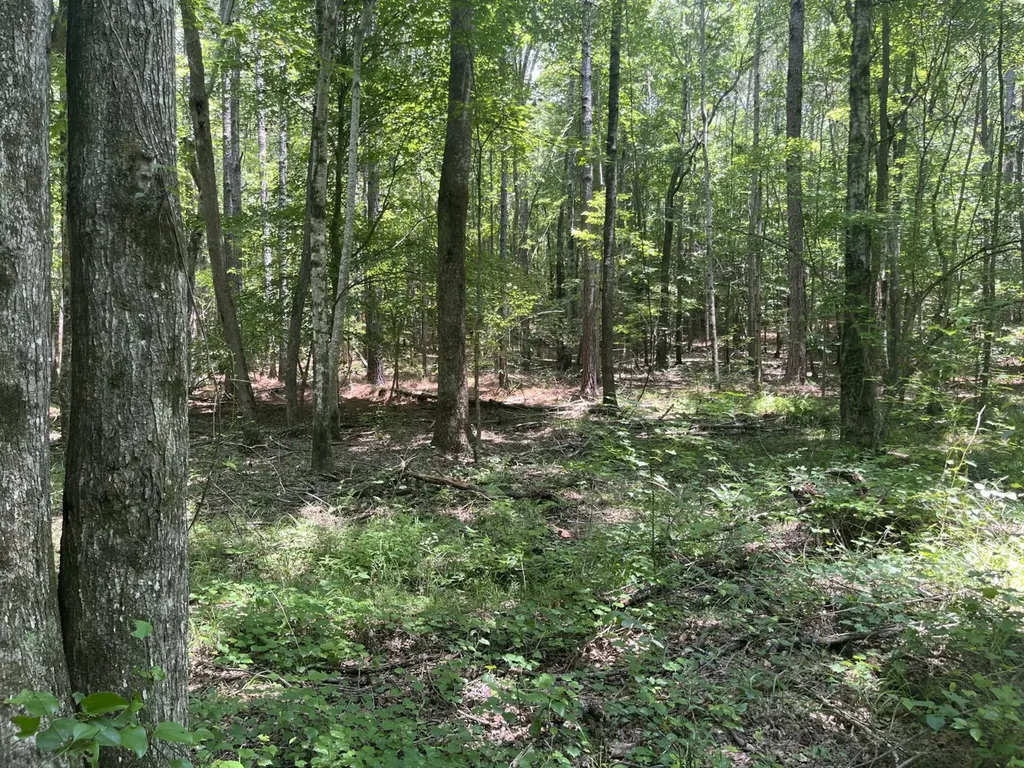 0 Bobo Loop Road Bobo AL 35594