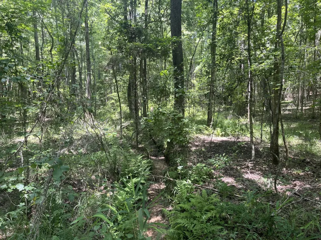 0 Bobo Loop Road Bobo AL 35594