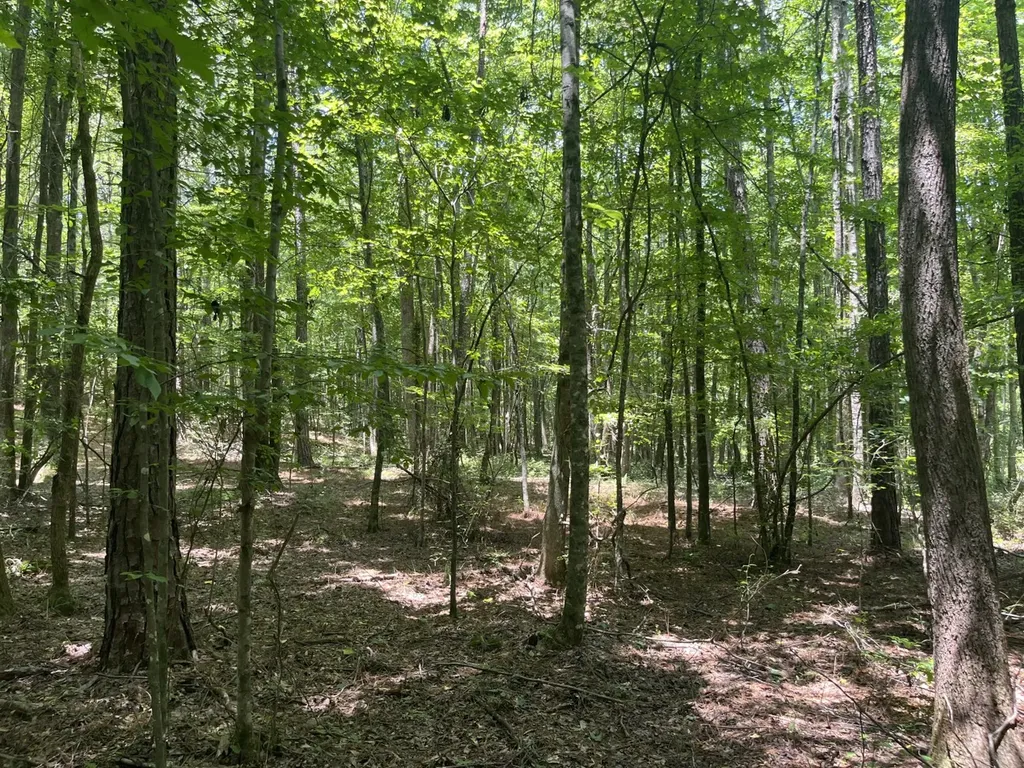 0 Bobo Loop Road Bobo AL 35594
