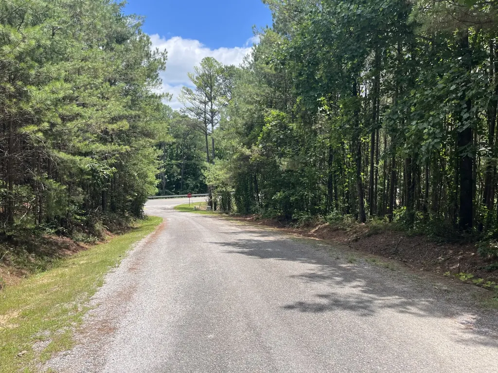 0 Highway 13 Eldridge AL 35554