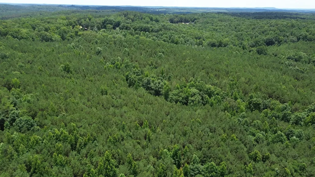 0 Highway 13 Eldridge AL 35554