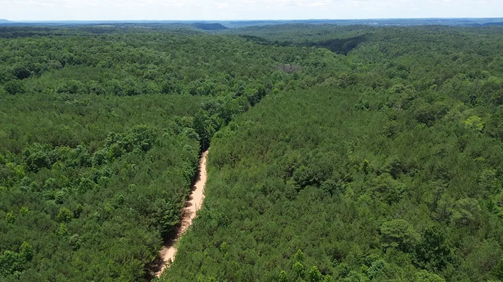 0 Highway 13 Eldridge AL 35554