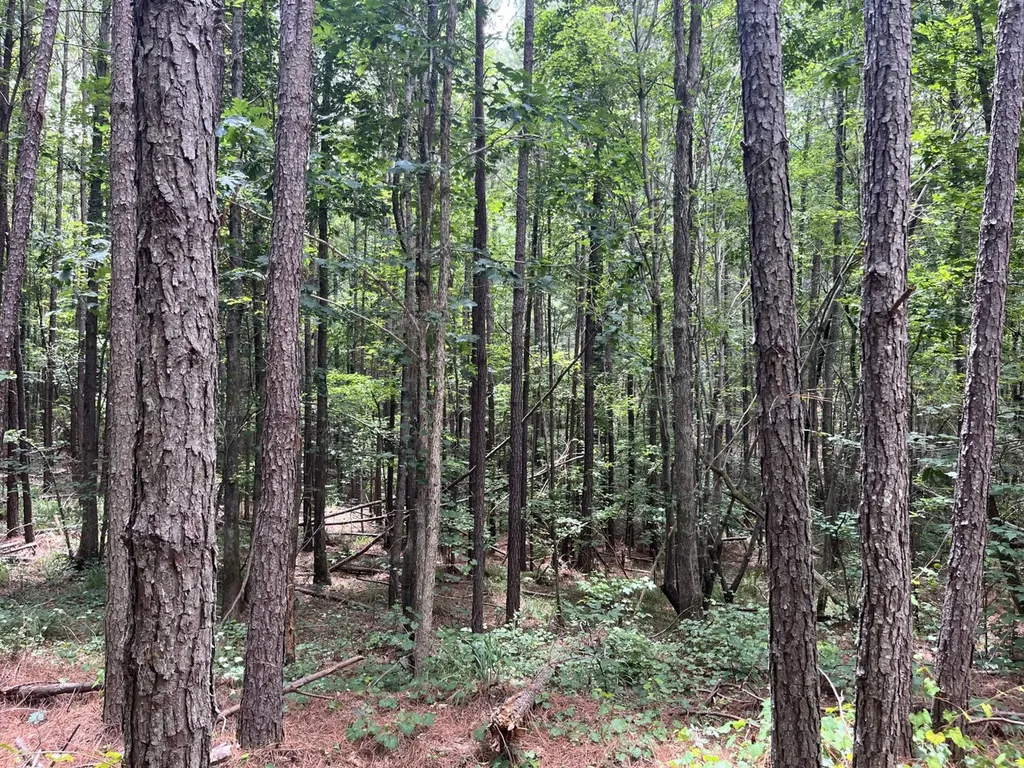 0 Highway 13 Eldridge AL 35554