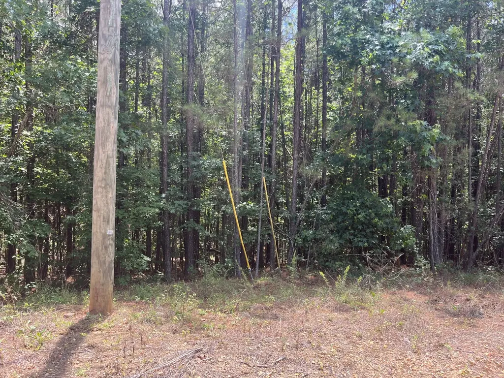 0 Highway 13 Eldridge AL 35554