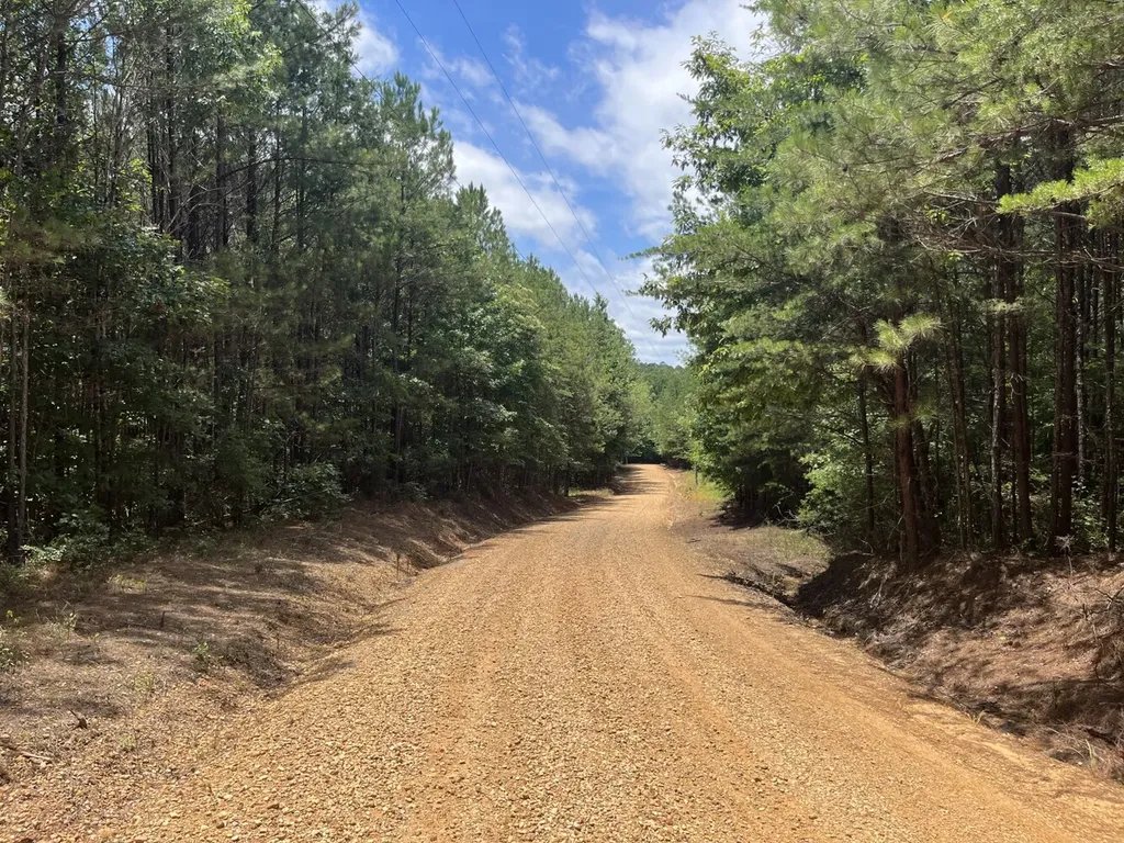 0 Highway 13 Eldridge AL 35554