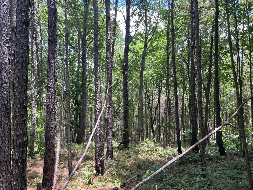 0 Highway 13 Eldridge AL 35554