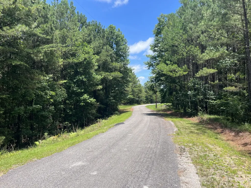 0 Highway 13 Eldridge AL 35554