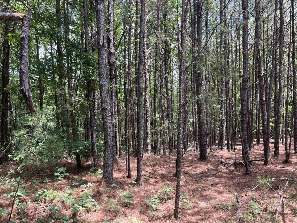 0 Highway 13 Eldridge AL 35554