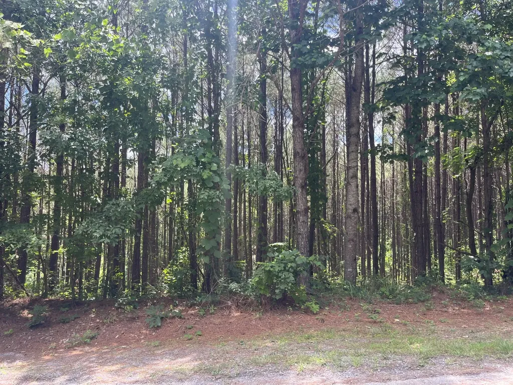 0 Highway 13 Eldridge AL 35554