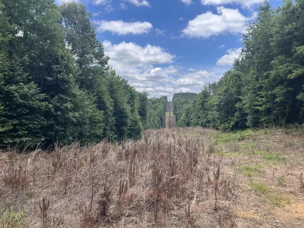 0 Highway 13 Eldridge AL 35554